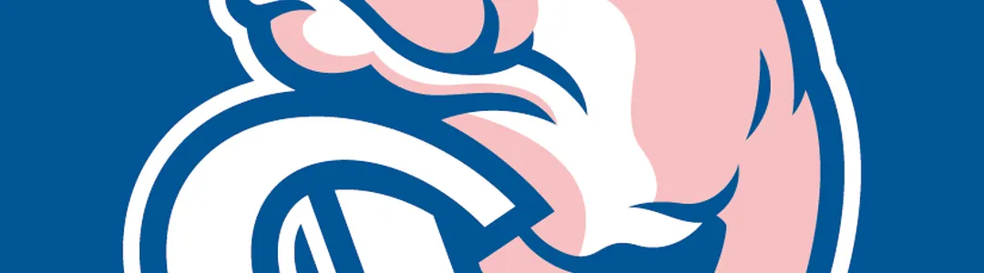 Drake Bulldogs