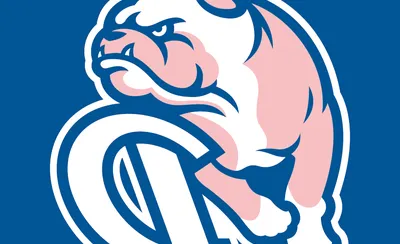 Drake Bulldogs